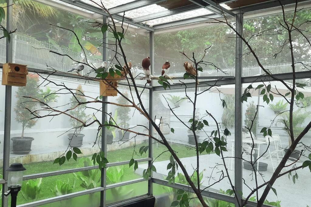 Garden Villa By Villapedia Bogor Kültér fotó